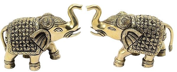 Decorative Elephant Pair Brass Statue