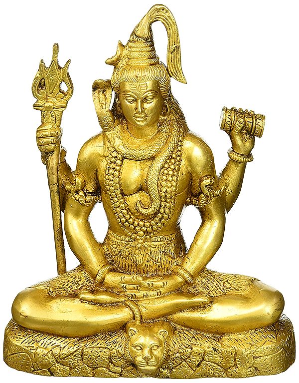 Lord Shiva In Meditation Mudra