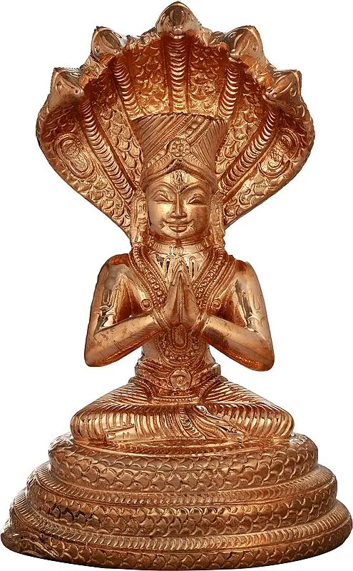 Sri Manavala Mamunigal