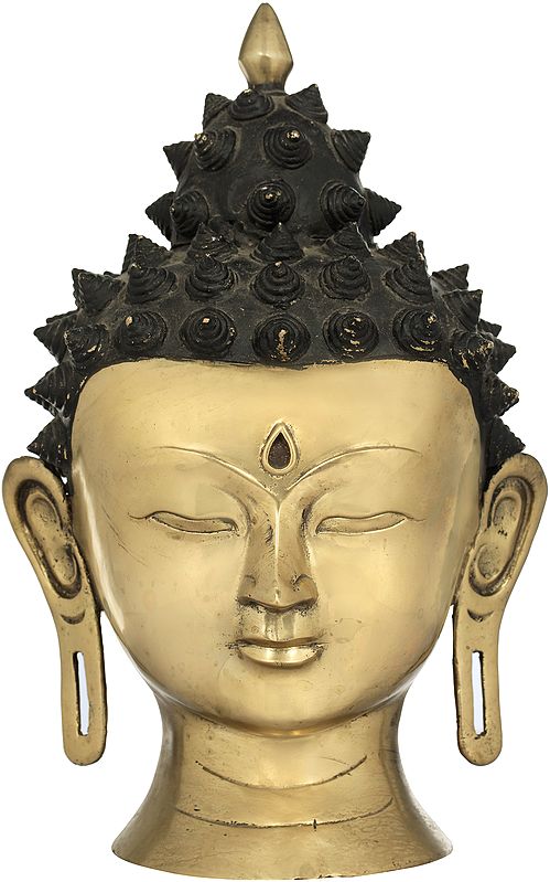 Tibetan Buddhist  Lord Buddha Head - Made in  Nepal