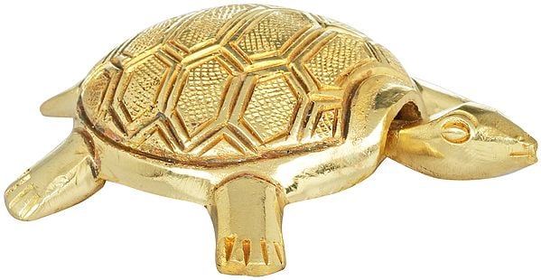 Vastu Tortoise with Yantra Underneath