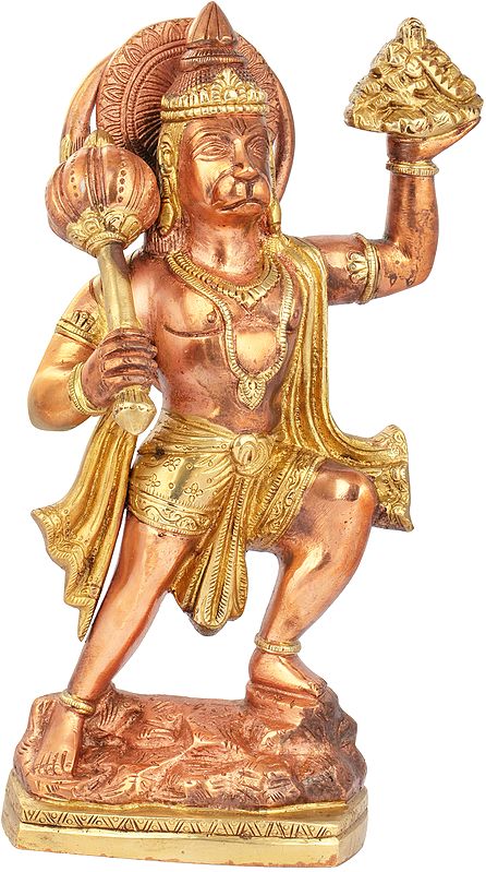 10" Lord Hanuman, Having Ripped Off The Mount Of Sansjeevani In Brass | Handmade | Made In India