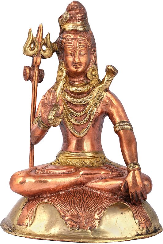 7" Bhagawan Shiva In Brass | Handmade | Made In India