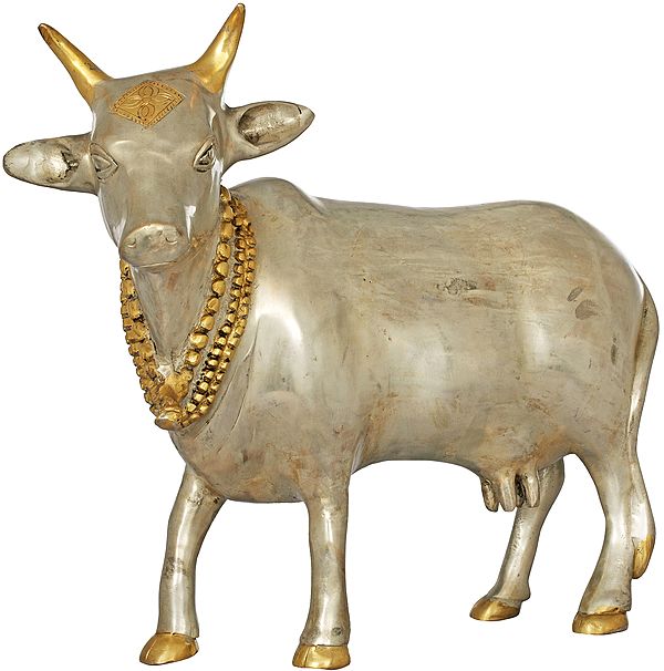 11" Holy Cow In Brass | Handmade | Made In India