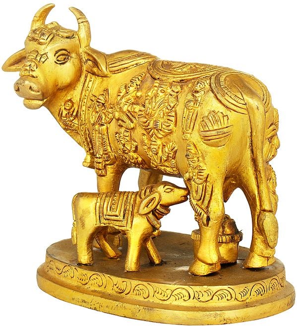 Cow and Calf - Most Sacred Animal of India (All Gods Live in Cow ...