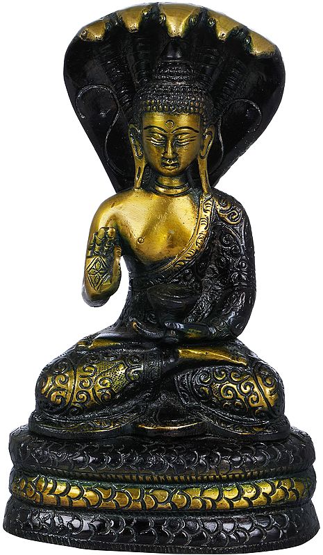 7" Tibetan Buddhist Blessing Buddha Brass Idol under Serpent Muchalinda