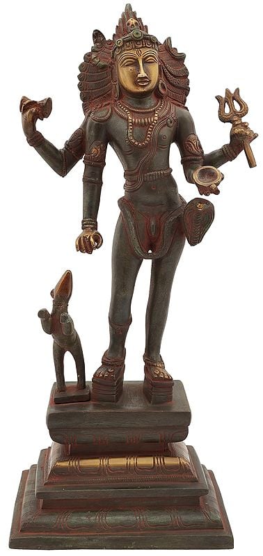 14" Bhikshasthana Shiva In Brass | Handmade | Made In India