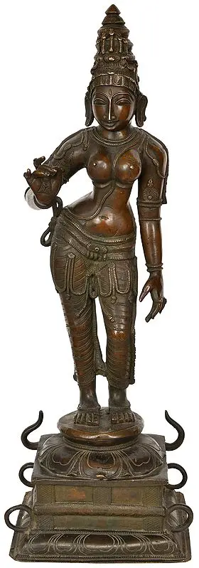 Goddess Parvati