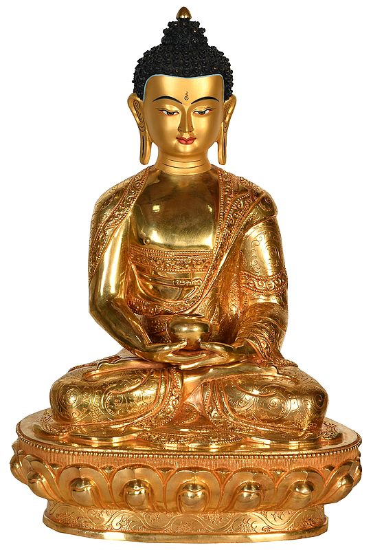 Nepalese Superfine Lord Buddha Wearing a Finely Carved Robe