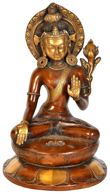 12" Crown Buddha in Varada Mudra with Dorje (Tibetan Buddhist) In Brass | Handmade | Made In India