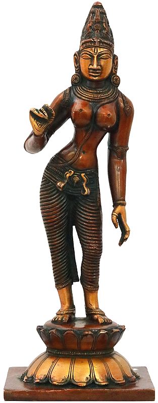 11" Devi Parvati In Brass | Handmade | Made In India