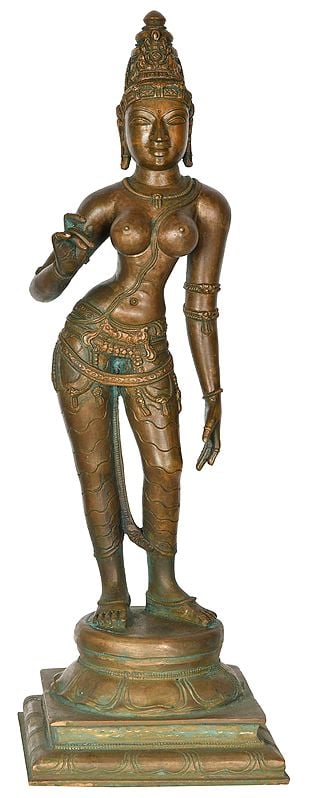 Goddess Parvati Wearing Minimum Jewelry