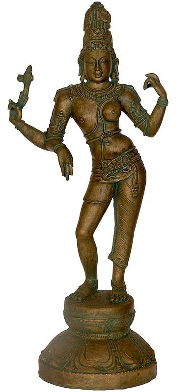 Ardharishvara, The Sammelana Of Purusha Va Prakrti