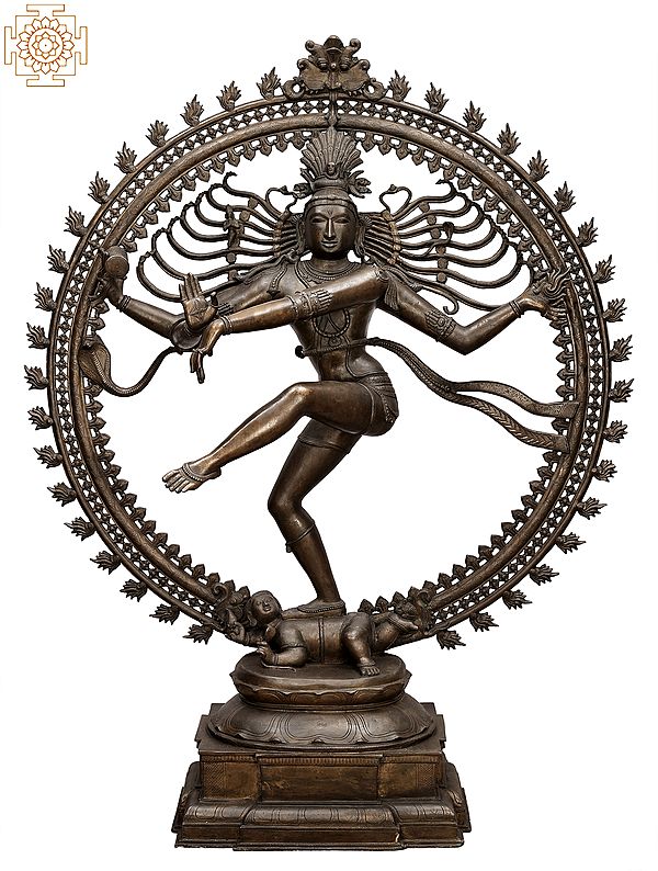 62" Super Large Nataraja | Handmade | Madhuchista Vidhana (Lost-Wax) | Panchaloha Bronze from Swamimalai