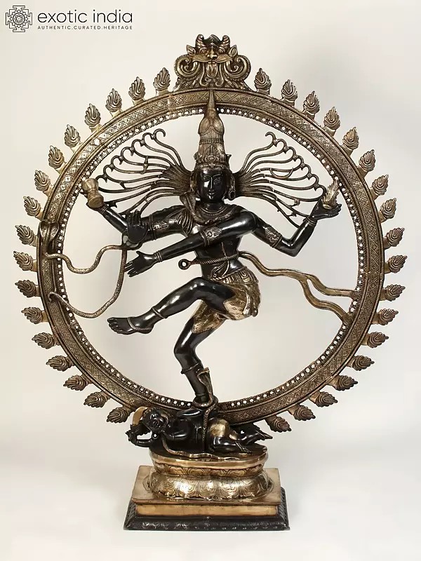 72" Large Black and Golden Nataraja (Dancing Lord Shiva) | Brass Statue