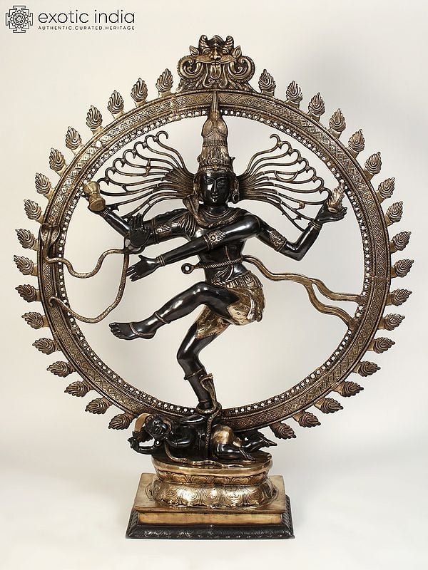72" Large Black and Golden Nataraja (Dancing Lord Shiva) | Brass Statue