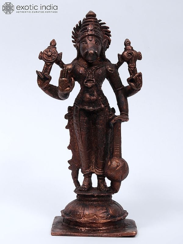 5" Small Standing Lord Varaha Copper Statue