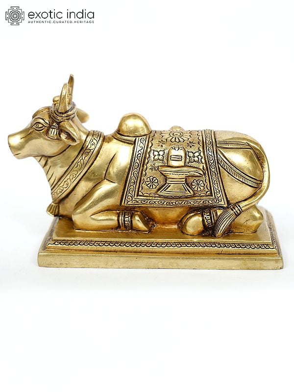 8" Brass Nandi with Shivalinga on Back | Brass Statue