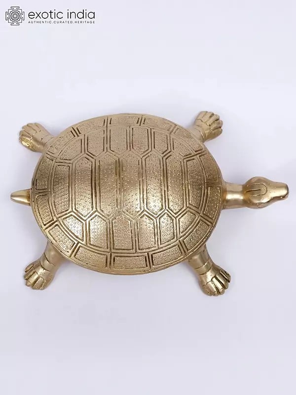 10" Vastu Tortoise in Brass