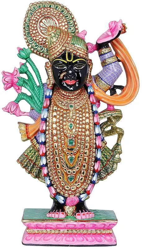 Shrinath Ji