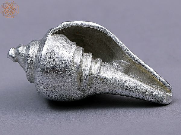 Small Mercury Conch