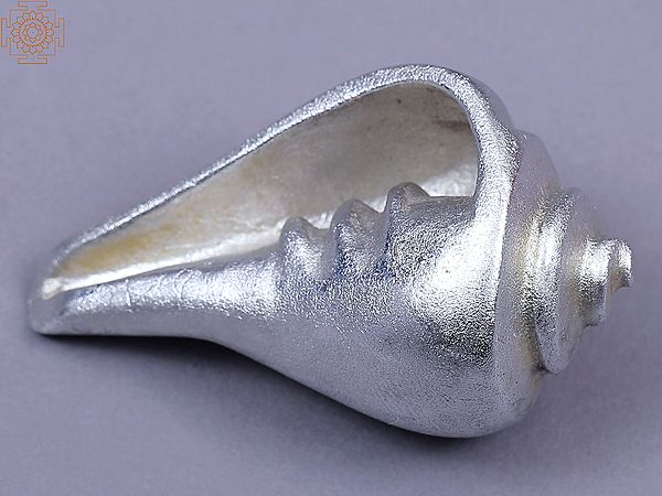 Small Mercury Conch