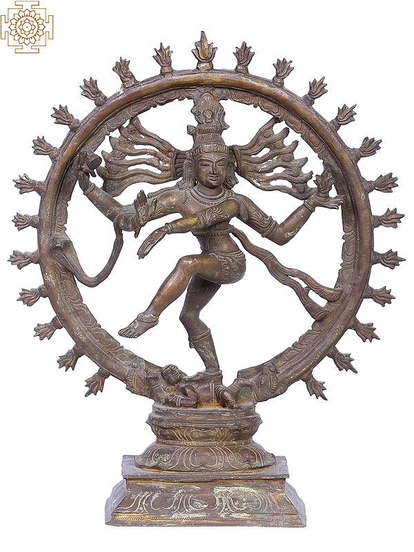 13" Nataraja (Dancing Shiva) Statue | Madhuchista Vidhana (Lost-Wax) | Panchaloha Bronze from Swamimalai