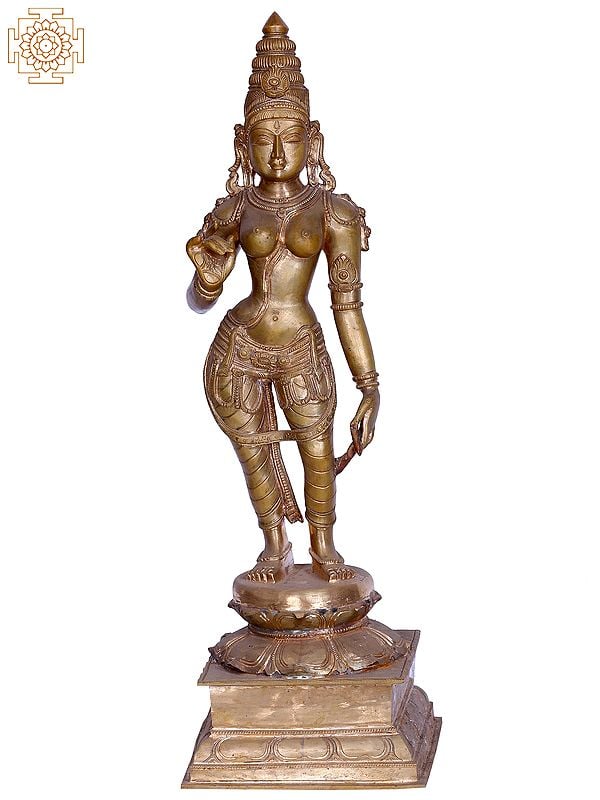 24" Goddess Sivagami (Parvati) Panchaloha Bronze Idol from Swamimalai | Madhuchista Vidhana (Lost-Wax)