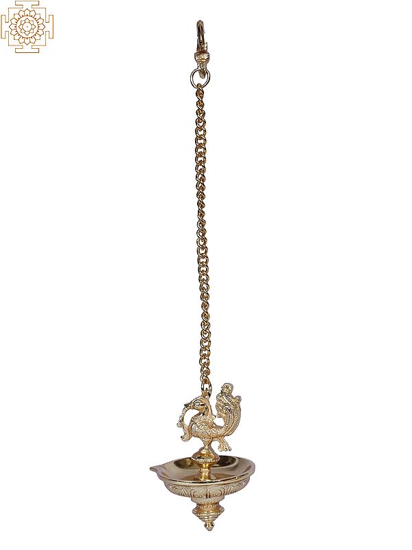 Hanging Peacock Brass Lamp with Chain | Gold Plated