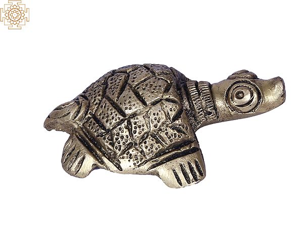 2" Small Turtle made of Brass