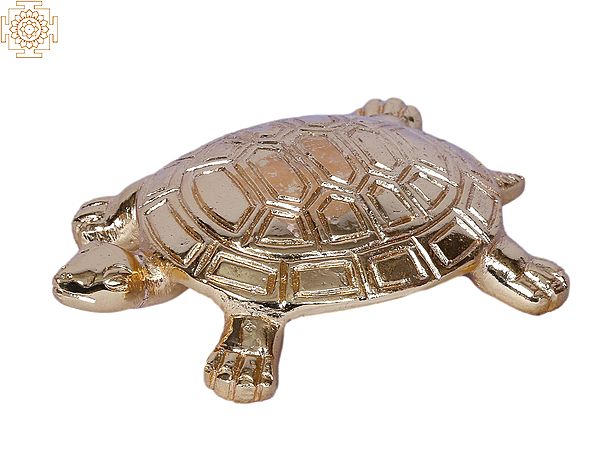 4" Small Turtle in Brass | Gold Plated
