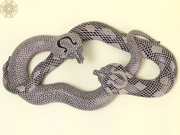 22" Two Entwined Snakes