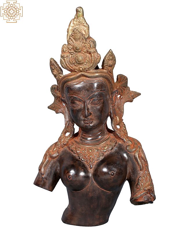 13" Goddess Tara Bust in Brass
