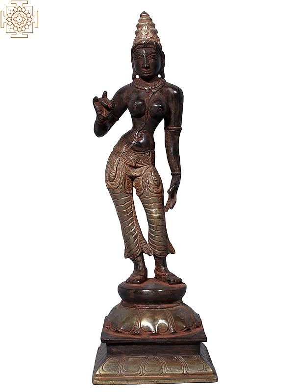 12" Standing Goddess Parvati in Brass