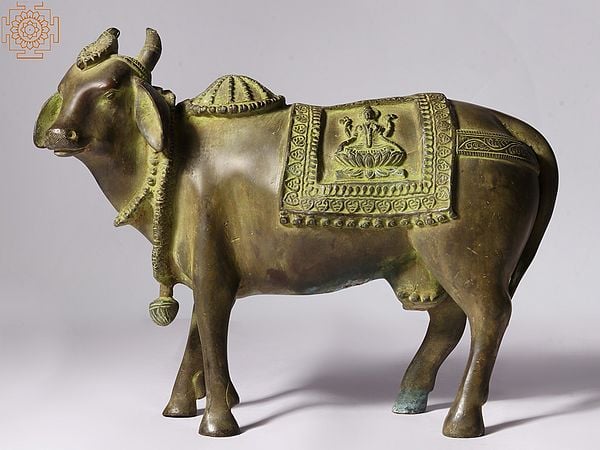 11" Kamadhenu Cow Statue in Brass