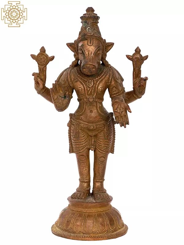 7'' Standing Varaha Avatara of Vishnu | Madhuchista Vidhana (Lost-Wax) | Panchaloha Bronze from Swamimalai
