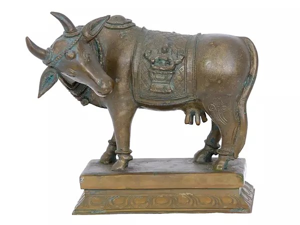 7'' Bronze Cow Statue | Madhuchista Vidhana (Lost-Wax) | Panchaloha Bronze from Swamimalai