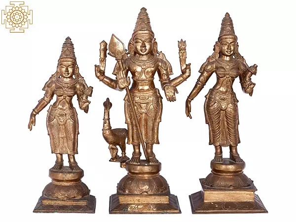 19'' Murugan (Karttikeya) with Devasena and Valli | Madhuchista Vidhana (Lost-Wax) | Panchaloha Bronze from Swamimalai
