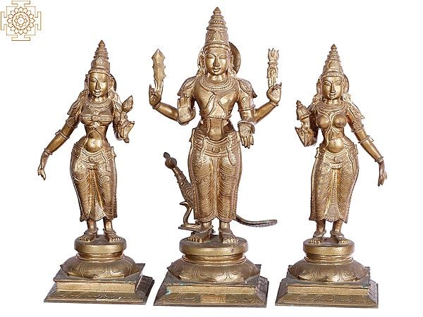 23'' Lord Subramanya Idol with Devasena and Valli | Panchaloha Bronze Statues from Swamimalai