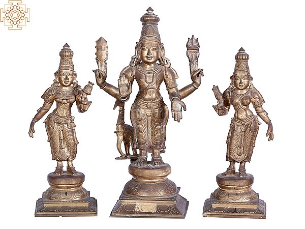 19'' Lord Subramanya with His Consorts Devasena and Valli | Madhuchista Vidhana (Lost-Wax) | Panchaloha Bronze from Swamimalai