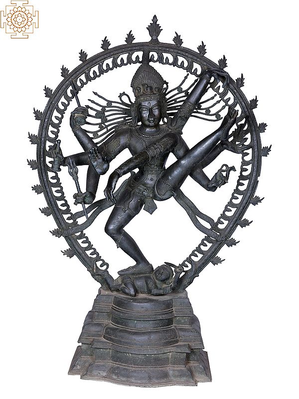 56'' Nataraja | Madhuchista Vidhana (Lost-Wax) | Panchaloha Bronze from Swamimalai