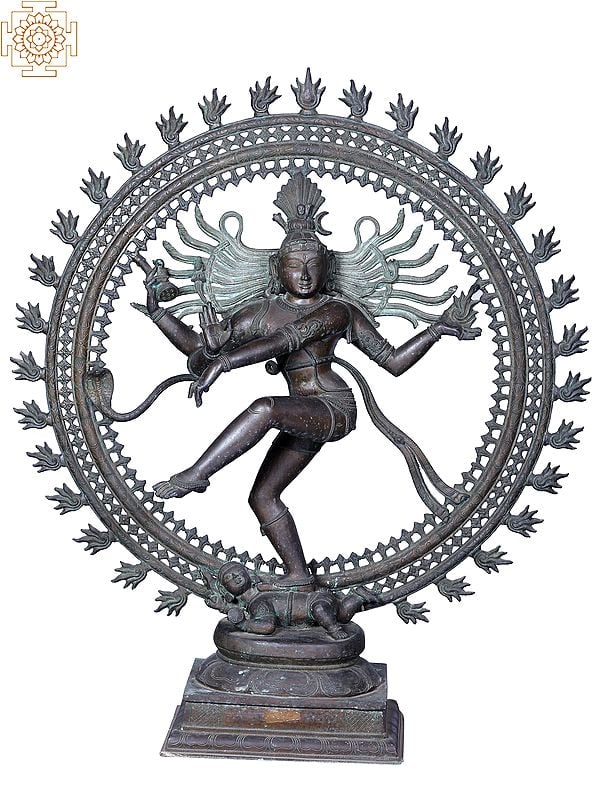 40'' Large Lord Nataraja | Madhuchista Vidhana (Lost-Wax) | Panchaloha Bronze from Swamimalai