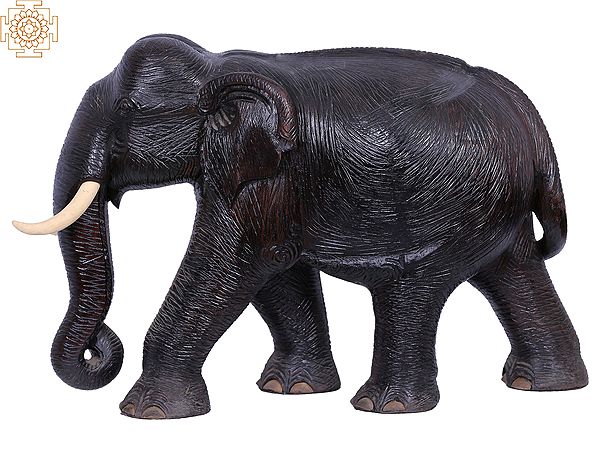 Wooden Old Elephant Sculpture | Home Decor