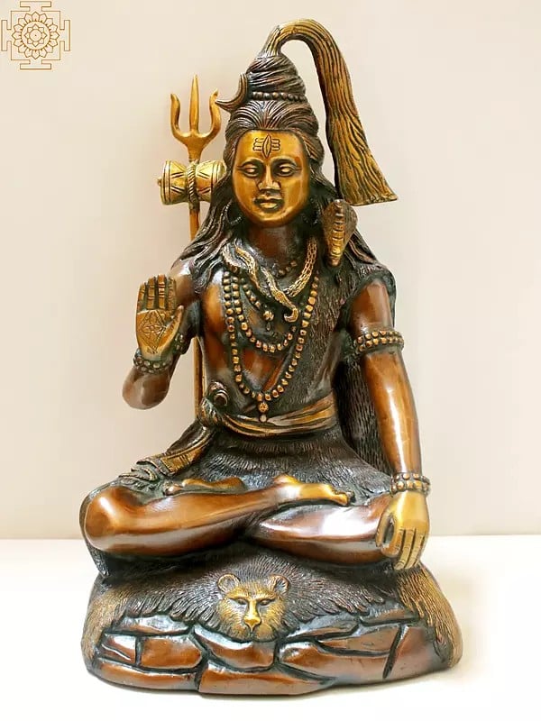 13" Brass Blessing Shiva Seated on Tiger Skin
