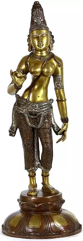 21" Goddess Devi Uma Standing on Pedestal (Devi Parvati)
