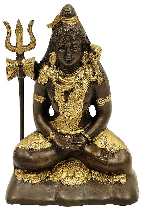 6" Mahayogi Shiva in Samadhi in Brass | Handmade | Made In India