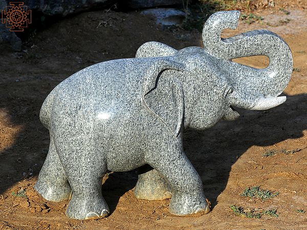 23" Elephant