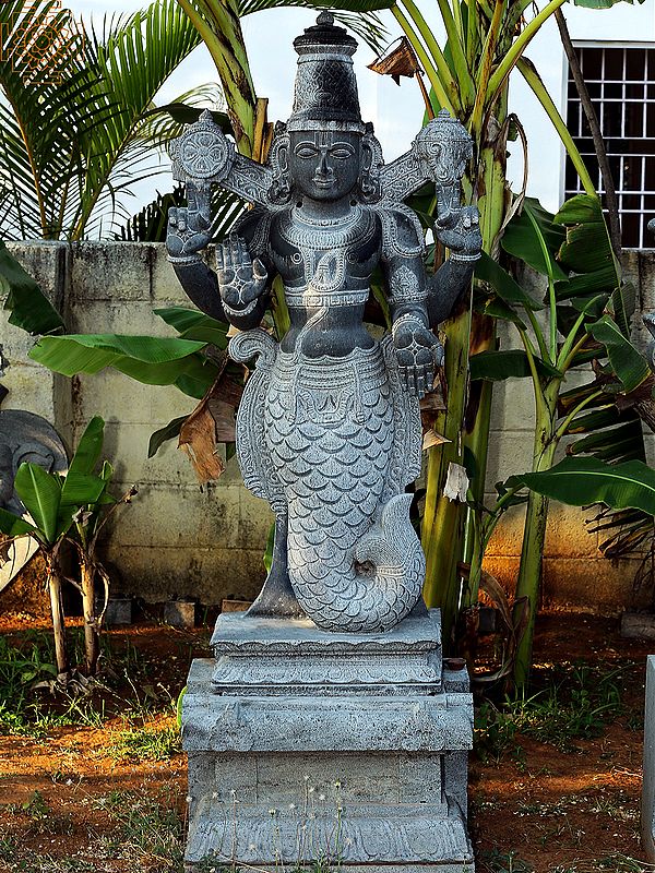 63" Large Matsya Avatara of Lord Vishnu | Shipped by Sea Overseas