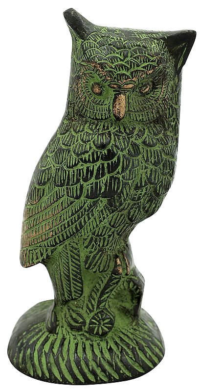 Goddess Lakshmi's Owl Pechaka Brass Statue