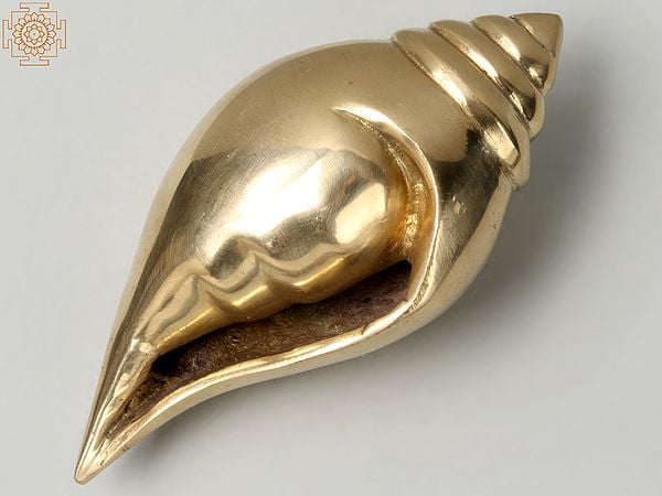 5" Small Conch (Shankh) in Brass